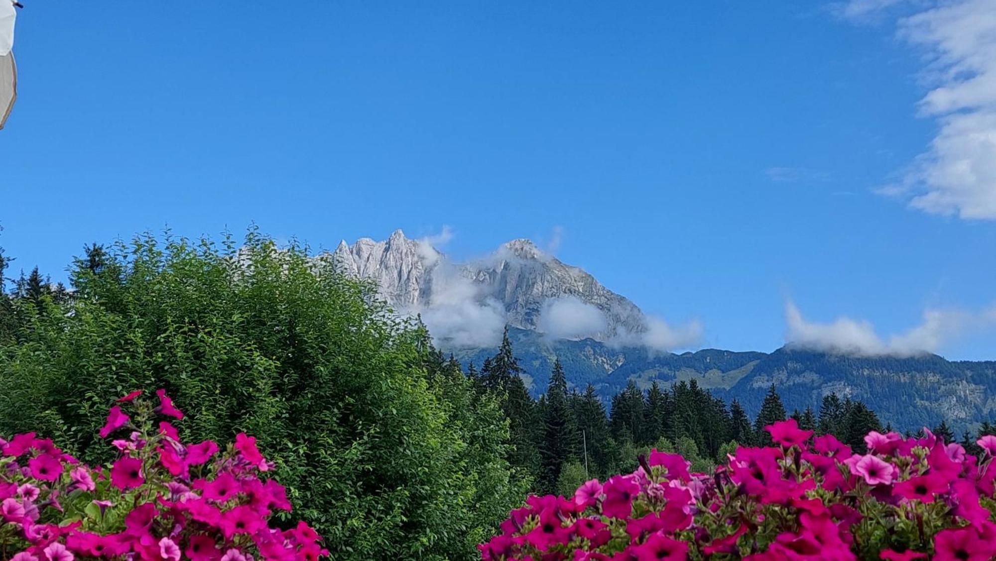 Gartenhotel Rosenhof Bei Kitzbuehel Oberndorf in Tirol Bagian luar foto